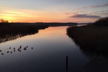 Kærlighedens natur