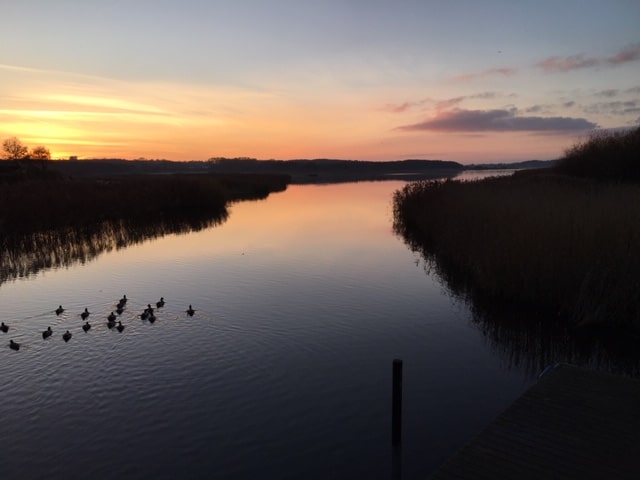 Kærlighedens natur