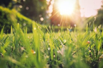Spring is coming